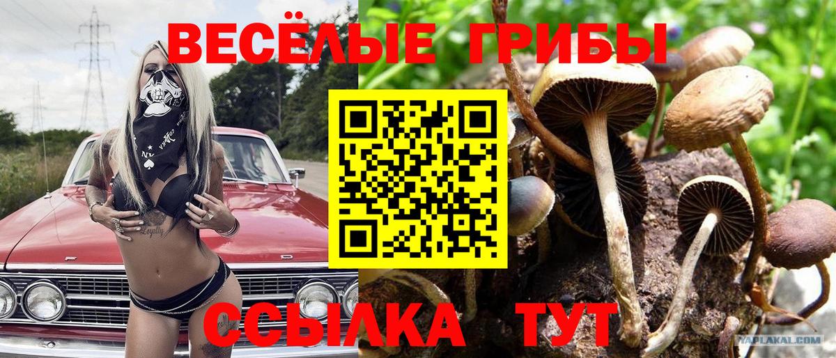 Псилоцибиновые грибы мухоморы  Псилоцибиновые грибы GOLDEN TEACHER  Дзержинский  Вход с VPN 
