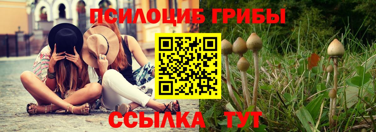 Галлюциногенные грибы Cubensis Дзержинский